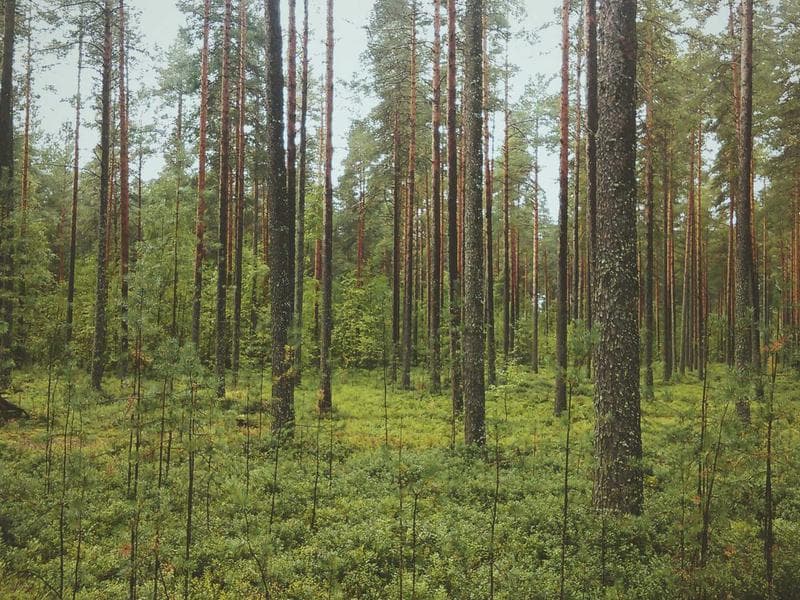 Gallery image 1